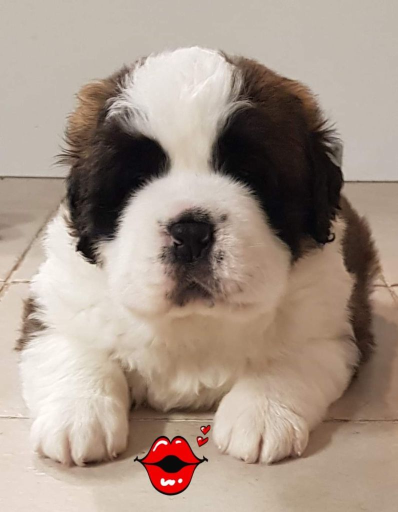 Bonne Année 2026 !!!!