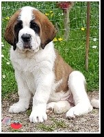 O'MOANA
